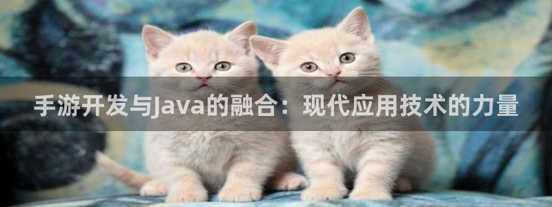 摩根娱乐云挂机：手游开发与Java的融合：现代应用技术的力量