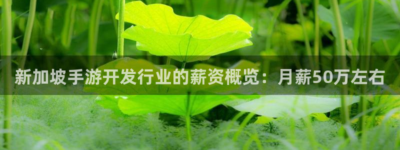 摩根娱乐app下载官网：新加坡手游开发行业的薪资概览：月薪5