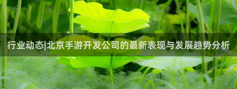 摩根娱乐app下载官网苹果：行业动态|北京手游开发公司的最新