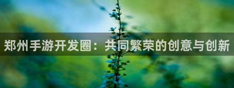 摩根娱乐是什么：郑州手游开发圈：共同繁荣的创意与创新