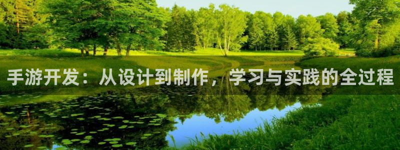 摩根娱乐能赚钱是真的吗：手游开发：从设计到制作，学习与实践的