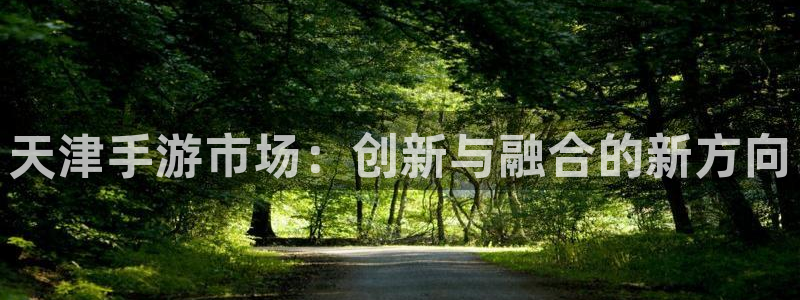 摩根娱乐是正规公司吗还是私企：天津手游市场：创新与融合的新方