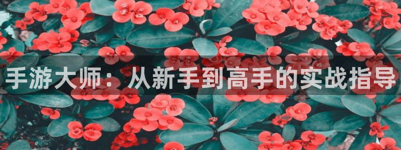 摩根娱乐是什么