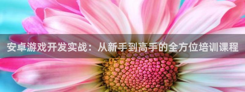 摩根娱乐app下载官网安装苹果：安卓游戏开发实战：从新手到高