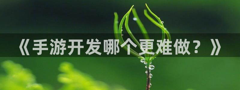 摩根娱乐挂机项目怎么样