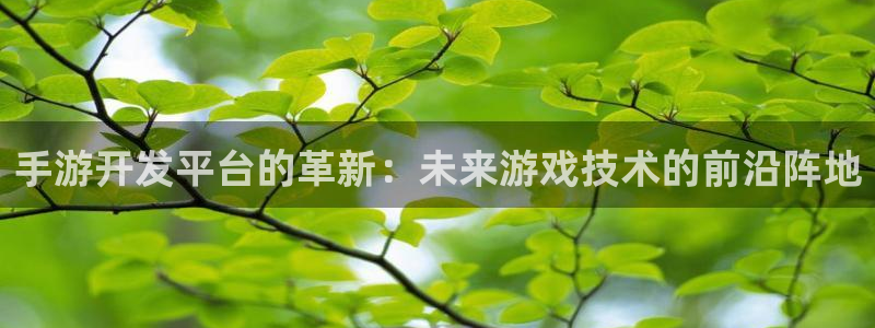 摩根娱乐官网：手游开发平台的革新：未来游戏技术的前沿阵地