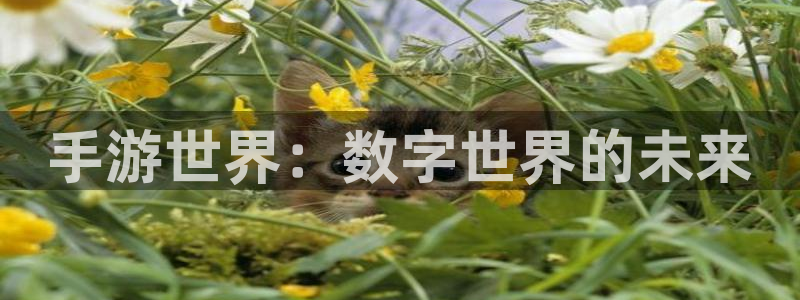 摩根娱乐挂机项目是什么：手游世界：数字世界的未来