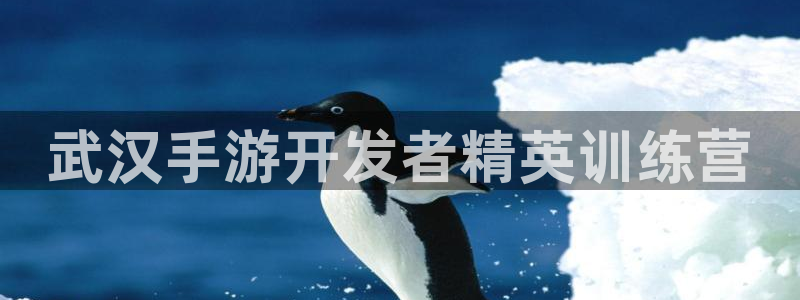 摩根娱乐是正规公司吗还是私企：武汉手游开发者精英训练营