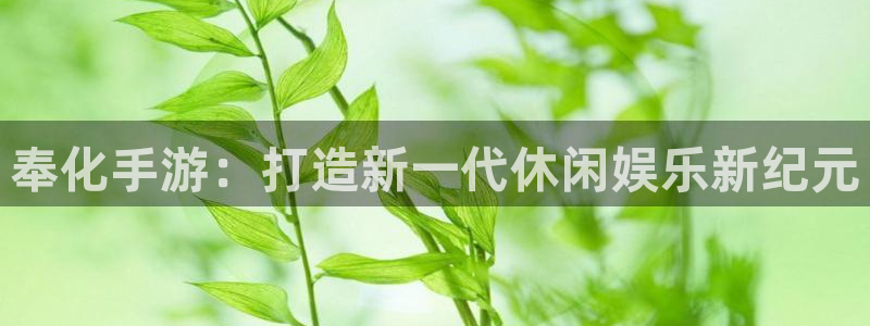 摩根娱乐挂机教程视频：奉化手游：打造新一代休闲娱乐新纪元