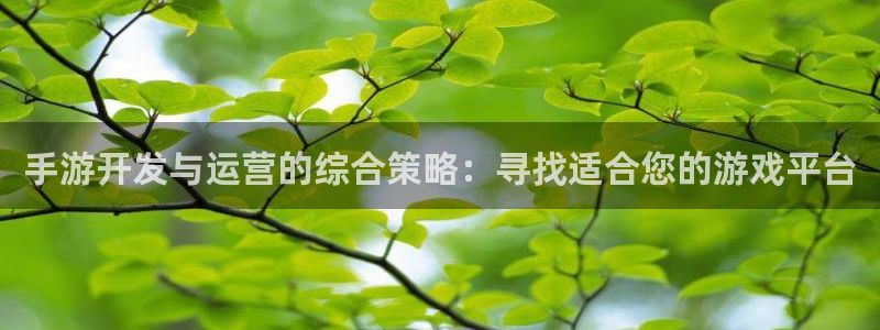 摩根娱乐挂机项目有哪些：手游开发与运营的综合策略：寻找适合您