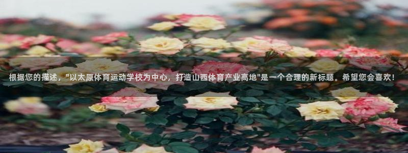 bbin视讯游戏平台：根据您的描述，\