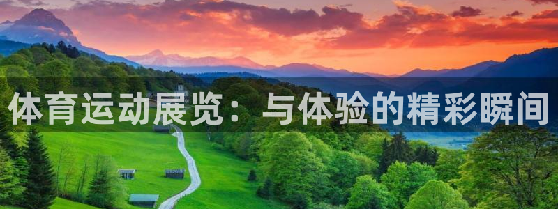 bbin视讯游戏官网：体育运动展览：与体验的精彩瞬间