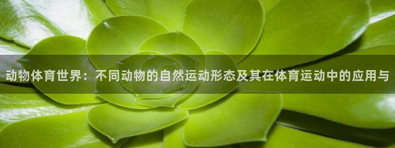 bbin视讯游戏平台：动物体育世界：不同动物的自然运动形态及其在体育运动中的应用与
