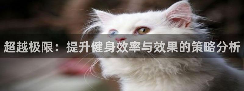 bbin视讯下