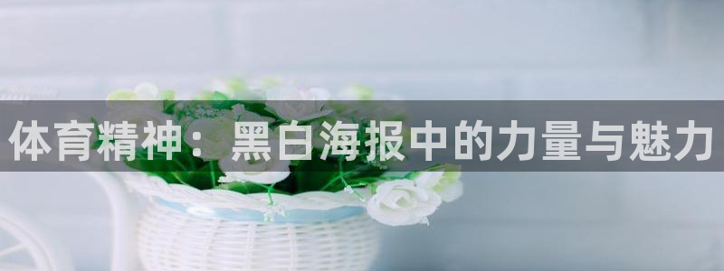 bbin视讯游戏平台：体育精神：黑白海报中的力量与魅力