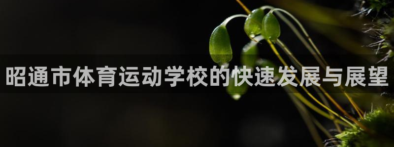 bbin视讯下：昭通市体育运动学校的快速发展与展望