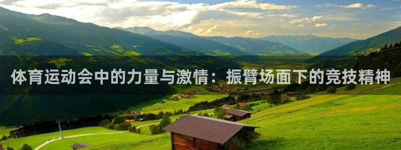 bbin视讯游戏平台：体育运动会中的力量与激情：振臂场面下的竞技精神